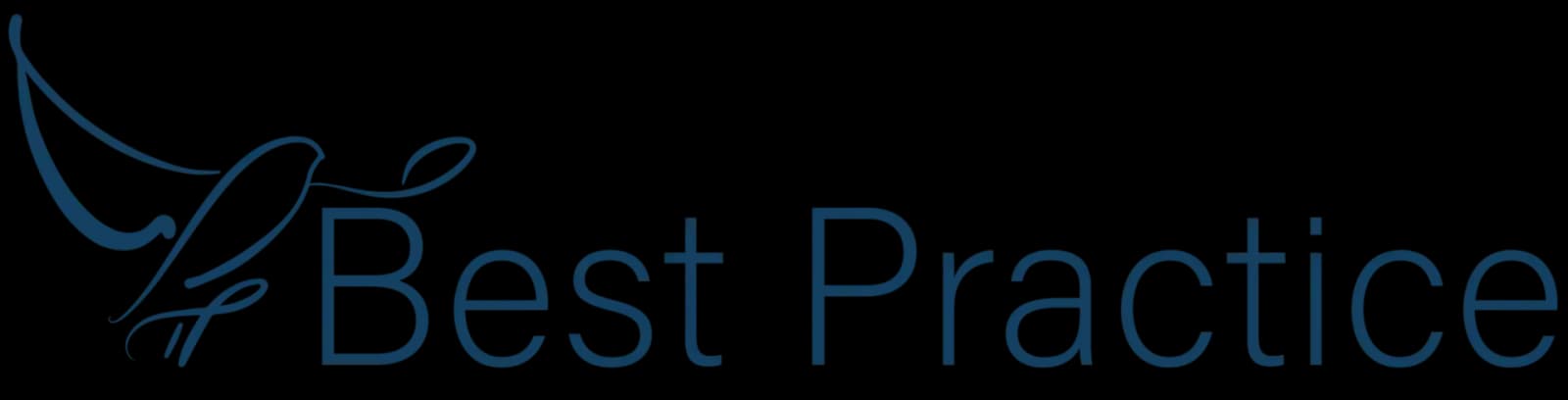 Best Practice Software Best Practice Software