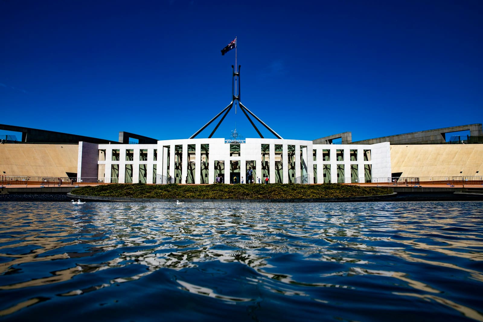 Government & Public Sector